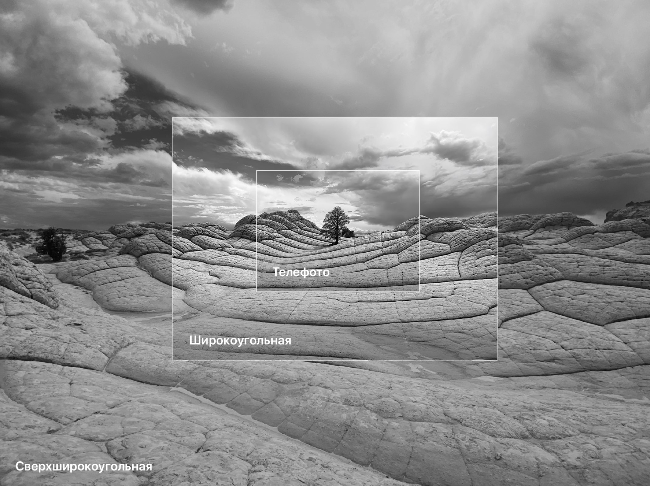 режим фото iphone 11 pro